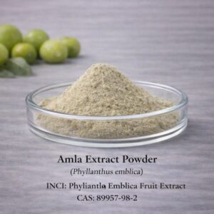 Amla Extract Powder