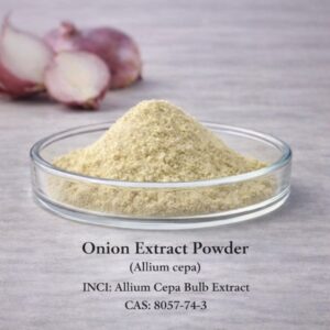 Onion Extract Powder