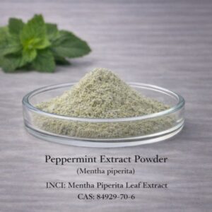 Peppermint Extract Powder