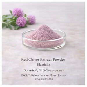 Red Clover Extract Powder