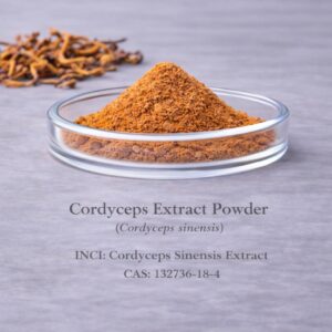 Cordyceps Extract Powder