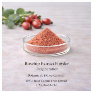 Rosehip Extract Powder
