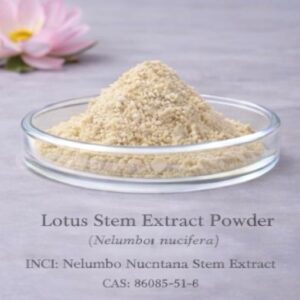 Lotus Stem Extract Powder
