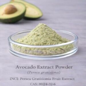 Avocado Extract Powder