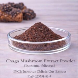 Chaga Mushroom Extract Powder