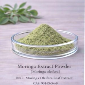 Moringa Extract Powder