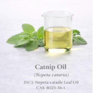Catnip Oil