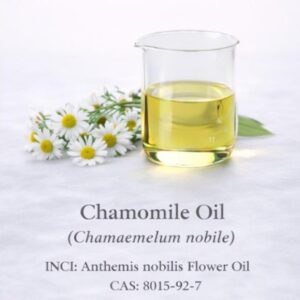 Chamomile Oil (Anthemis nobilis)