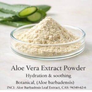 Aloe Vera Extract Powder