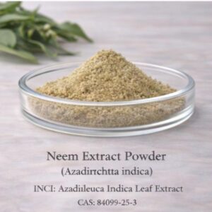 Neem Extract Powder