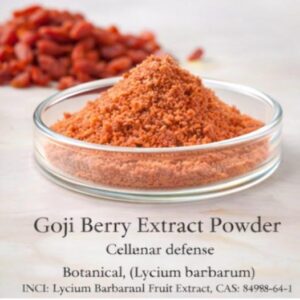 Goji Berry Extract Powder