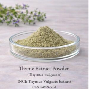 Thyme Extract Powder