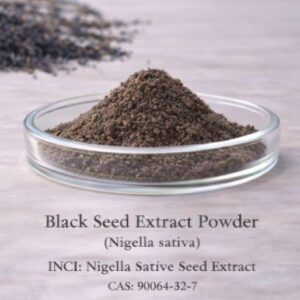 Black Seed Extract Powder