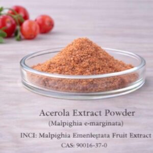 Acerola Extract Powder
