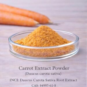 Carrot Extract Powder