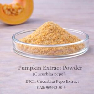 Pumpkin Extract Powder