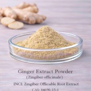 Ginger Extract Powder