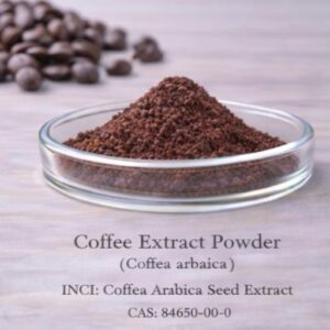 Coffee Extract Powder