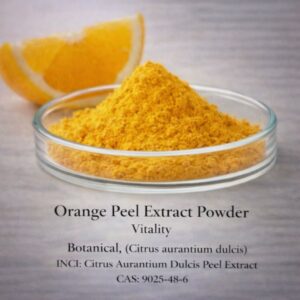 Orange Peel Extract Powder