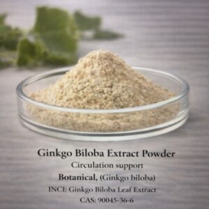 Ginkgo Biloba Extract Powder