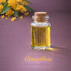Osmanthus
