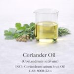 Coriander Oil