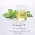 Catnip Oil