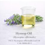 Hyssop Oil