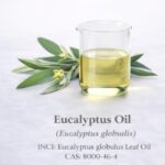 Eucalyptus Oil