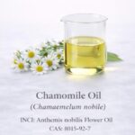 Chamomile Oil (Anthemis nobilis)