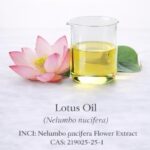 Lotus Oil