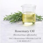 Rosemary Oil