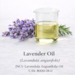 Lavender Oil