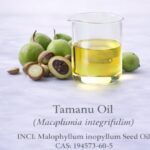 Tamanu Oil