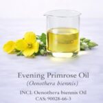 Evening Primrose Oil