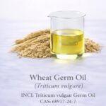 Wheat Germ Oil