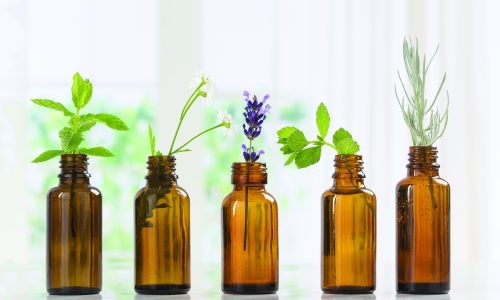 Brown Bottles of essential oil with fresh herbs